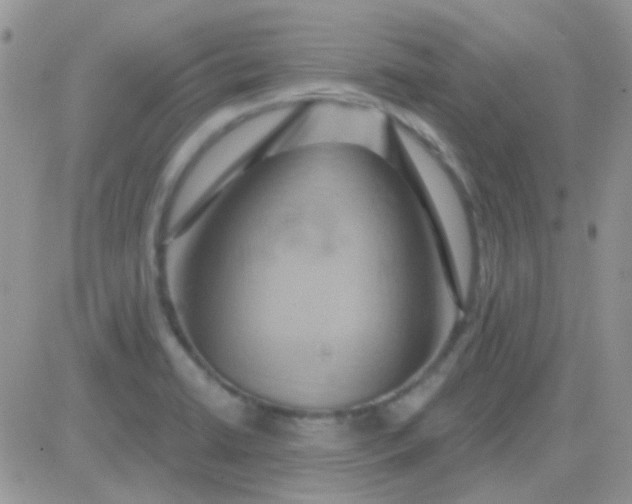 X0000081501422200701262107