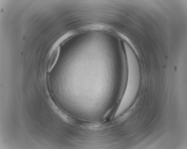 X0000081501426200701262107