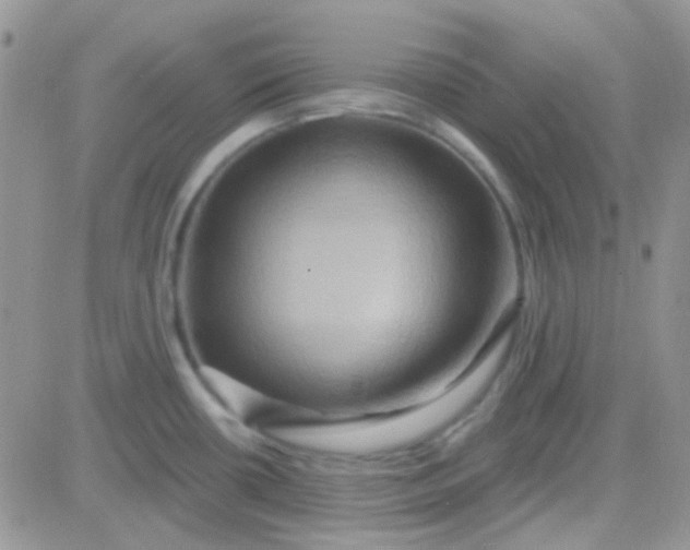 X0000081501434200701262108