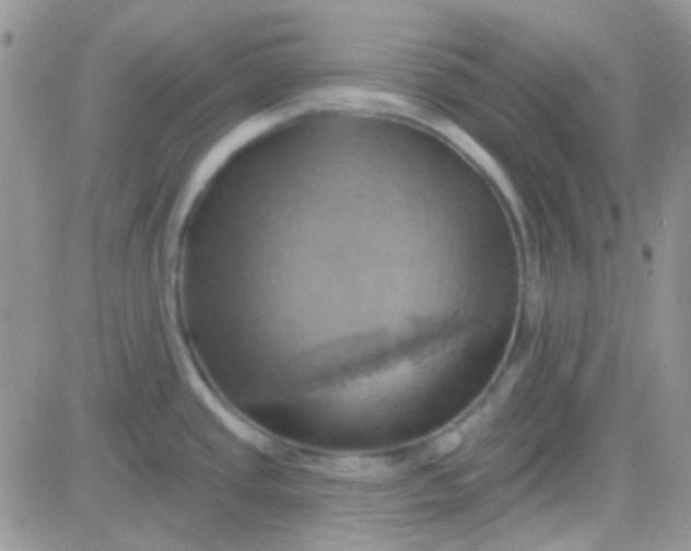 X0000081501437200701262108