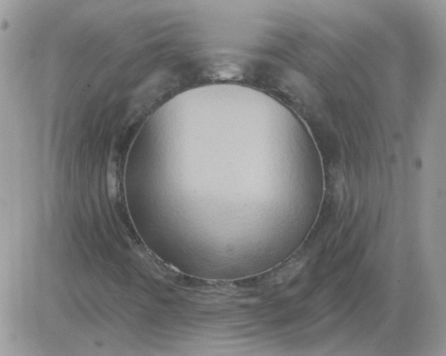 X0000081501442200701262107
