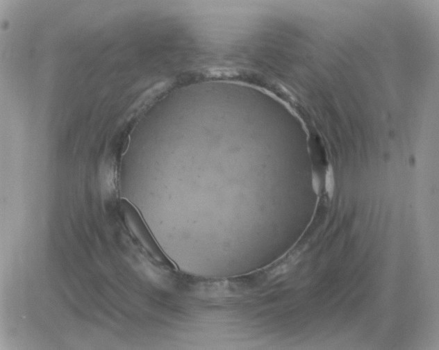 X0000081501444200701262107