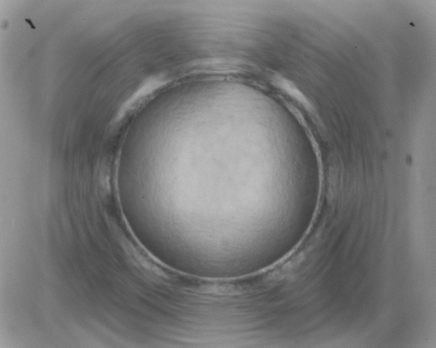 X0000081501451200701262107