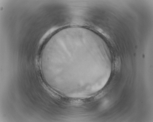 X0000081501454200701262107