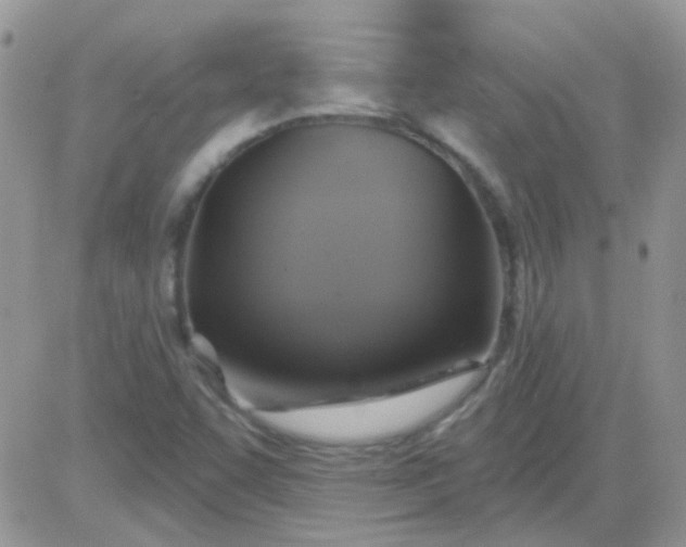 X0000081501455200701262107