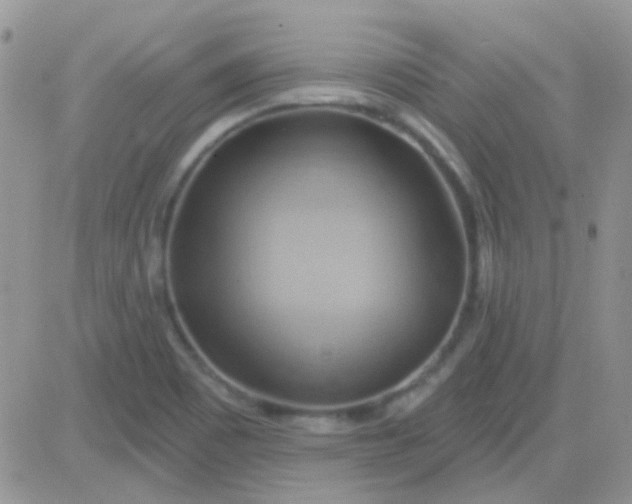 X0000081501465200701262106