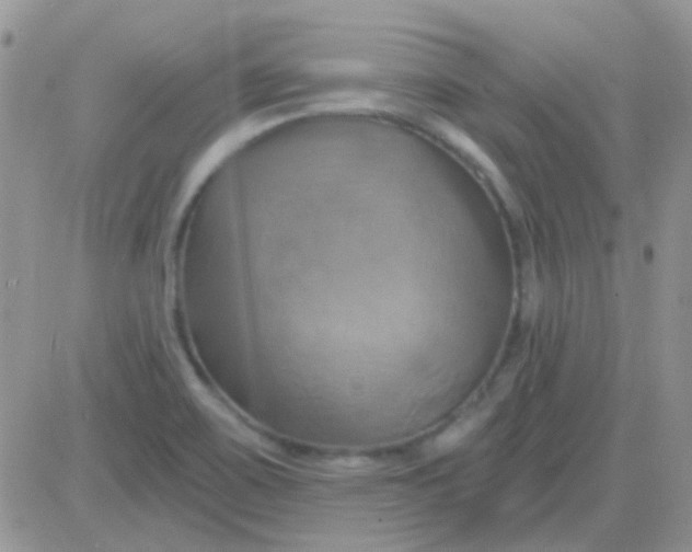 X0000081501467200701262106