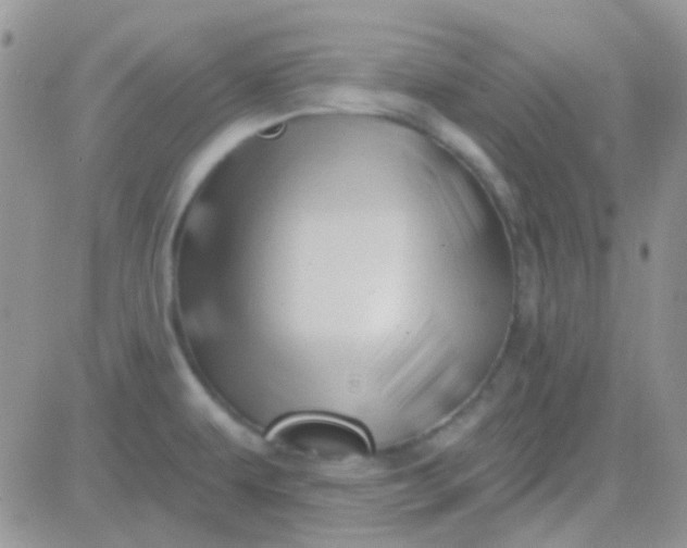 X0000081501479200701262106