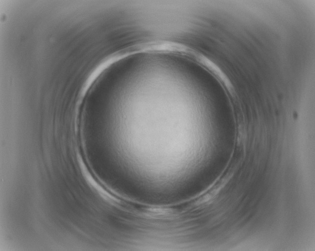 X0000081501483200701262106