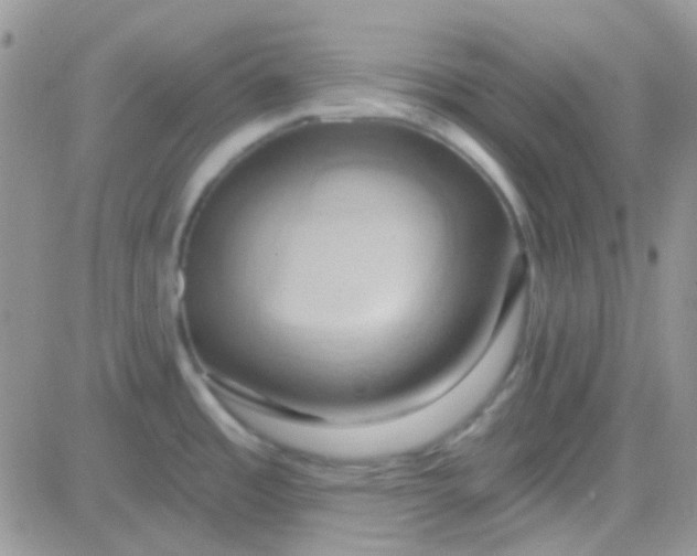 X0000081501485200701262106