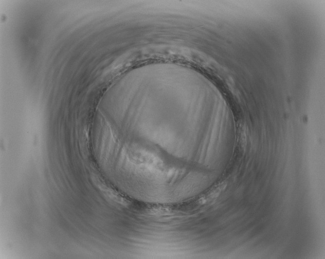 X0000081501489200701262105