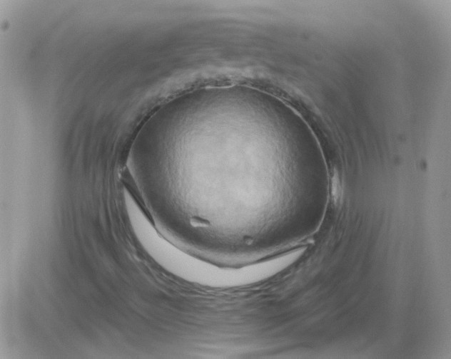 X0000081501492200701262105