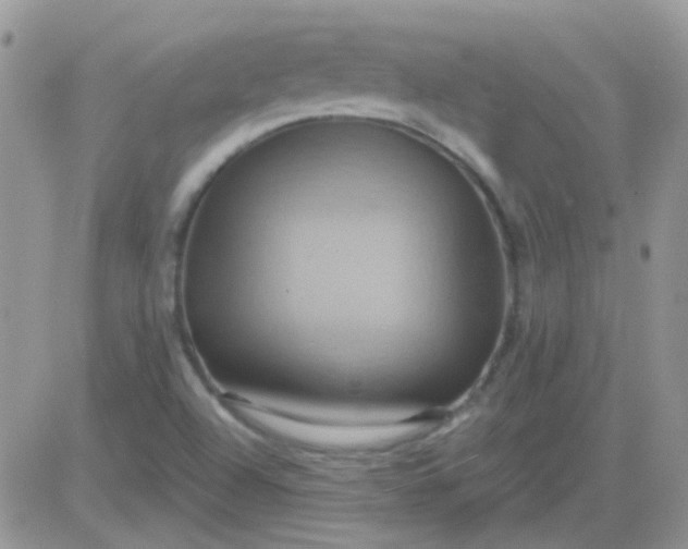 X0000081501504200701262106