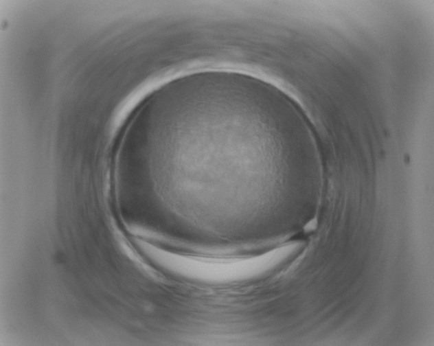 X0000081501511200701262106