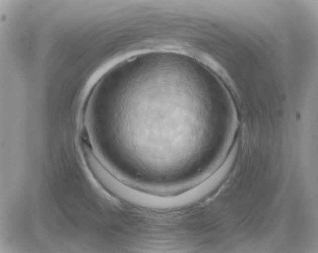 X0000081501520200701262106