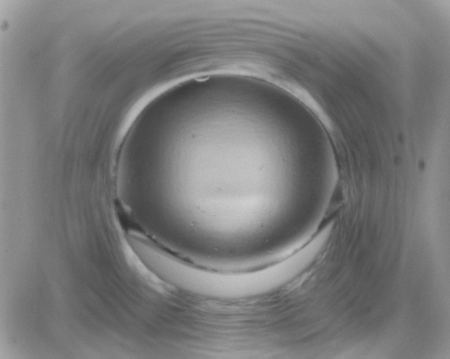 X0000081501532200701262106