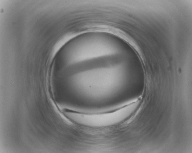 X0000081501533200701262106