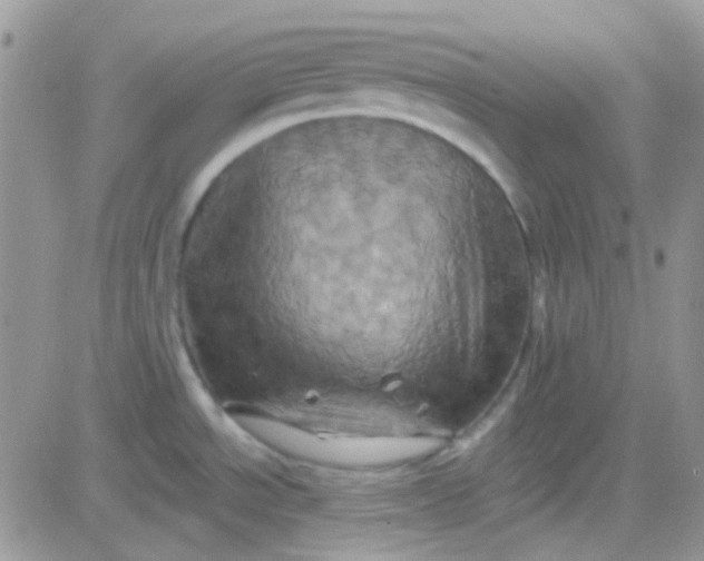 X0000081501534200701262106