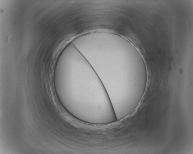 X0000081500001200702021959