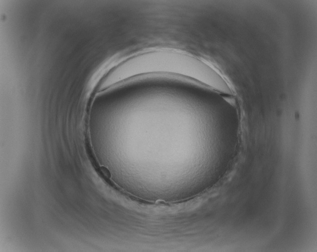 X0000081500007200702021959