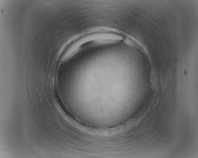 X0000081500015200702021959