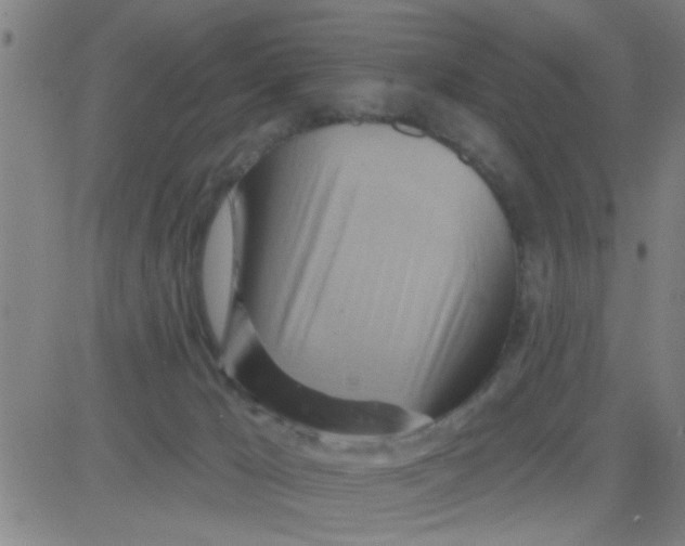 X0000081500029200702021959