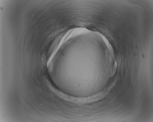 X0000081500043200702021958