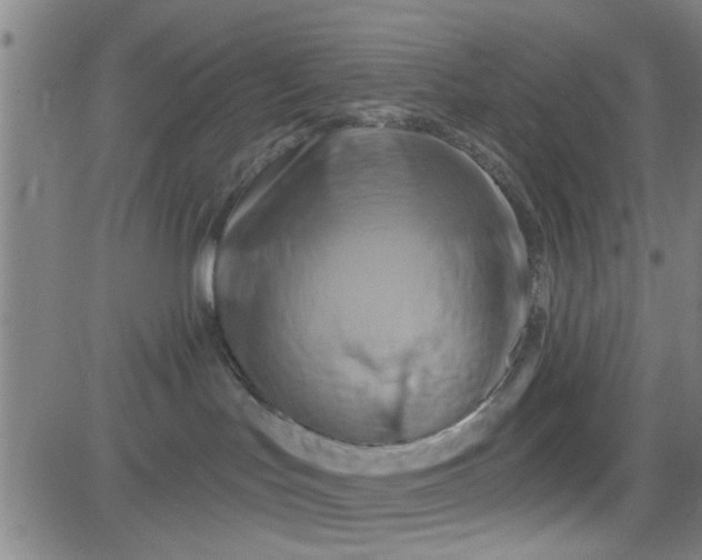 X0000081500047200702021958