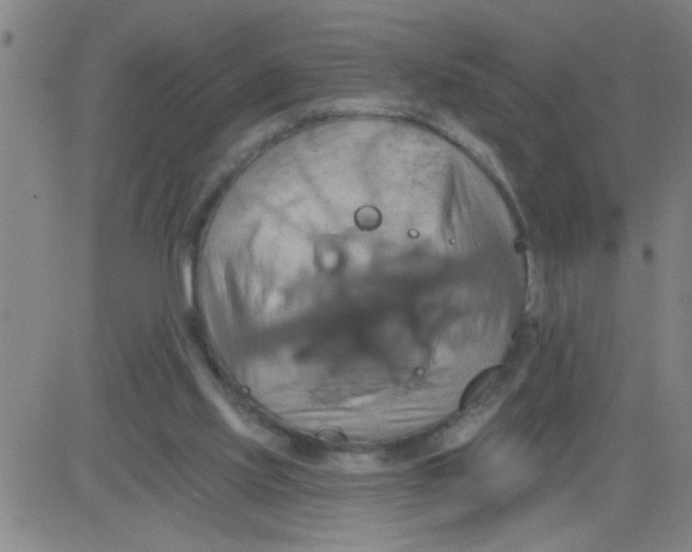 X0000081500061200702021958