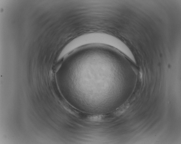 X0000081500084200702021958