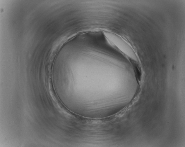 X0000081500097200702021958