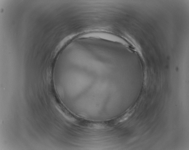 X0000081500107200702021957