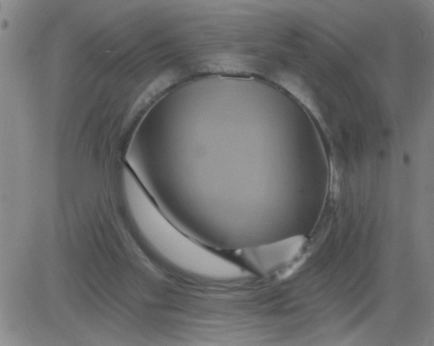 X0000081500109200702021957