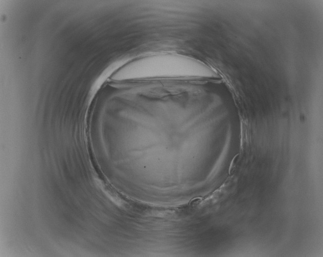 X0000081500147200702021956
