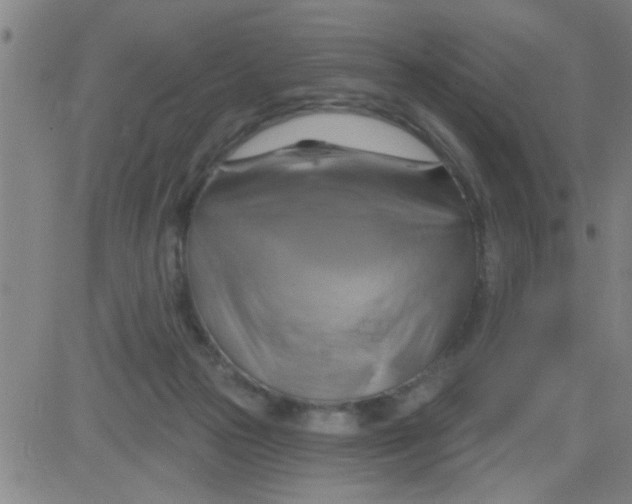 X0000081500169200702021956