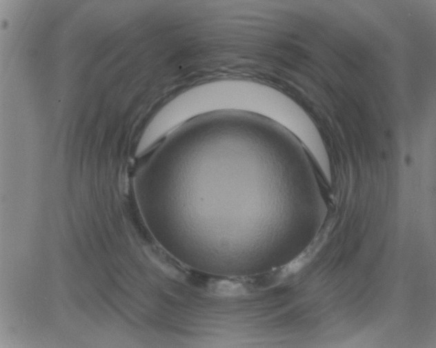 X0000081500180200702021957