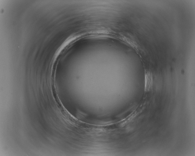 X0000081500195200702021956