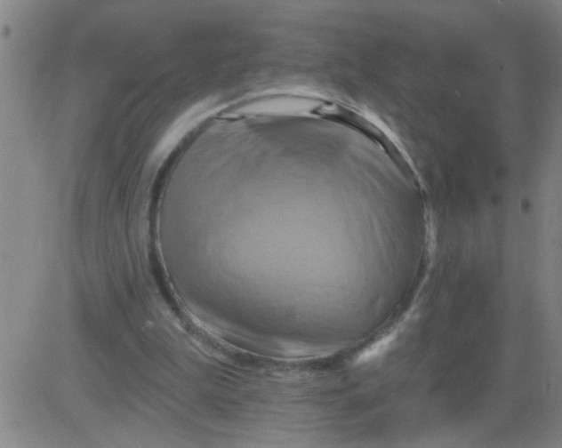 X0000081500199200702021956