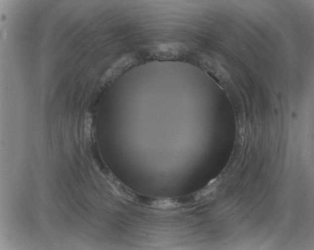 X0000081500231200702021955