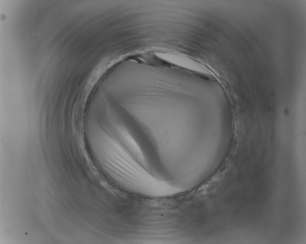 X0000081500241200702021954