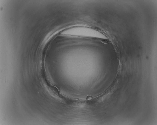 X0000081500247200702021955