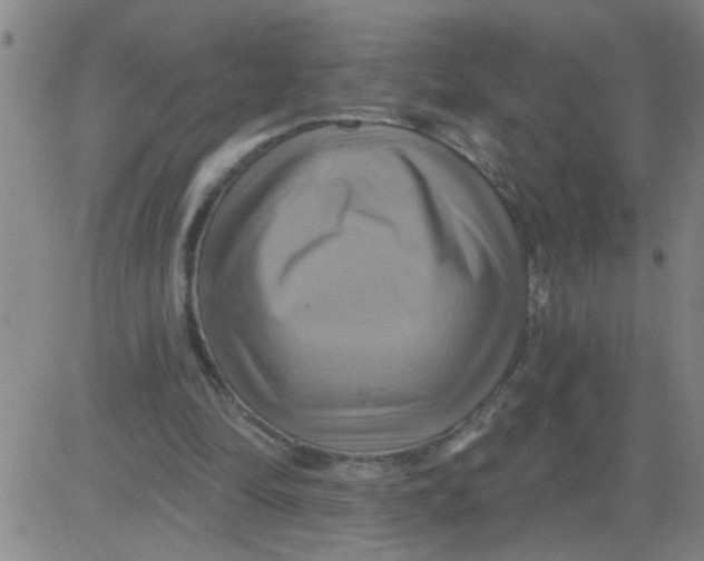 X0000081500294200702021954