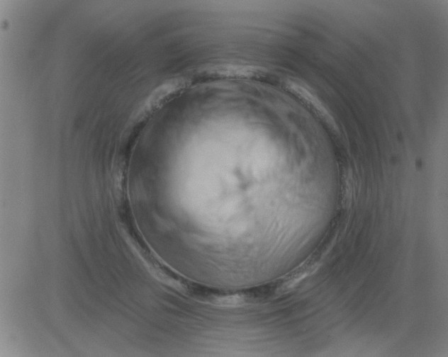 X0000081500309200702021954