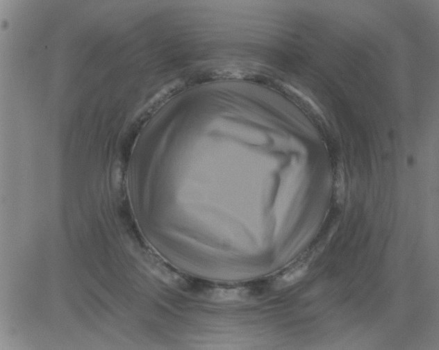 X0000081500314200702021954