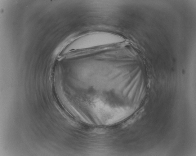 X0000081500341200702021953