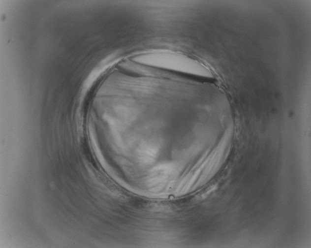 X0000081500343200702021953