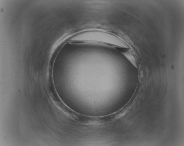 X0000081500344200702021953