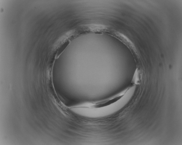 X0000081500405200702021953