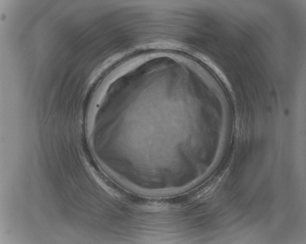 X0000081500437200702021951