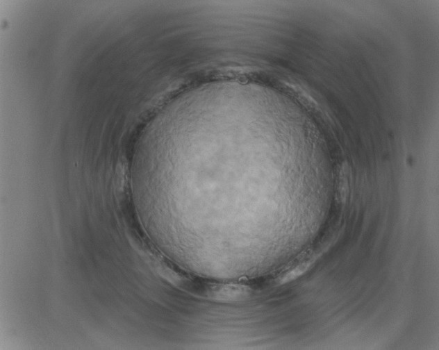 X0000081500463200702021952